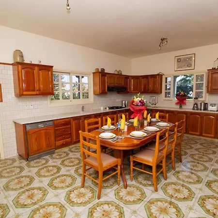 The Strovilion Estate *